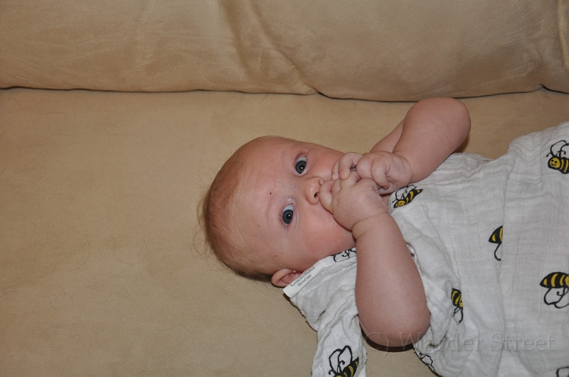 William's Tenth Week 39.jpg